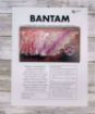Picture of Bantam