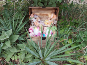 Picture for category Buried Treasure