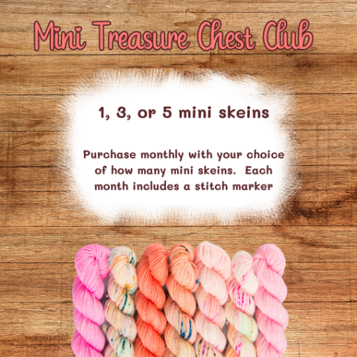 Picture of Mini Treasure Chest Club 2024 December