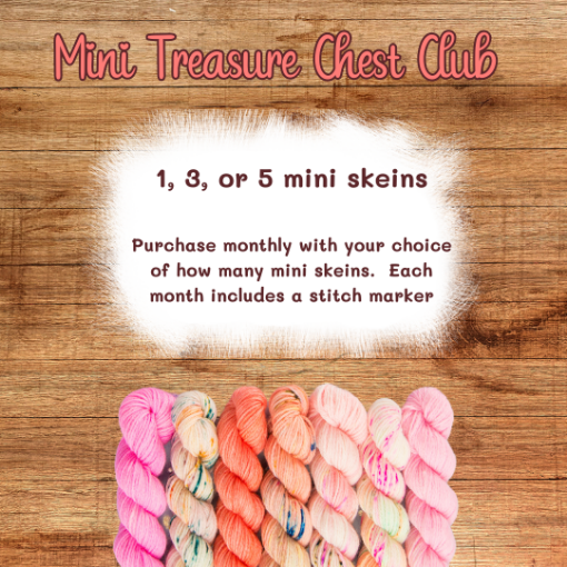 Picture of Mini Treasure Chest Club 2025 June