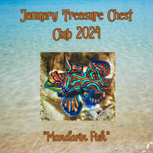 Picture of January Treasure Chest Club 2024