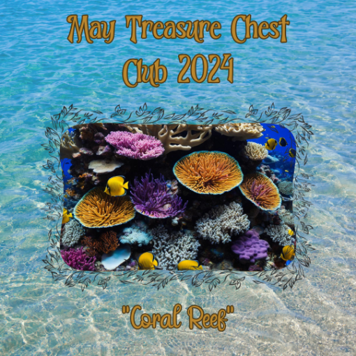 Picture of May 2024 Treasure Chest Club