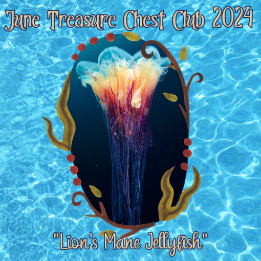 Picture of June Treasure Chest Club 2024