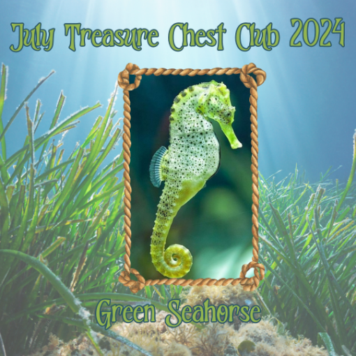 Picture of July Treasure Chest Club 2024