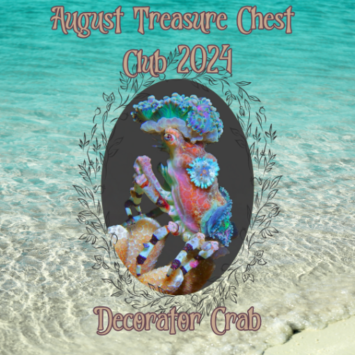 Picture of August Treasure Chest Club 202