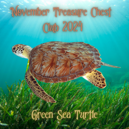 Picture of November Treasure Chest Club 2023