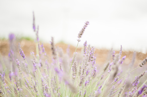 Picture of February Treasure Chest Club 2025