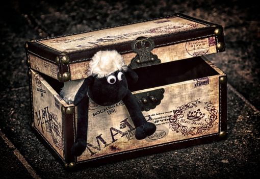 Picture of July Treasure Chest Club Lite 