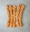 Picture of Glorious Fingering Minis