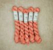 Picture of Ewetopia Fingering Minis